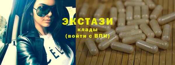 МДПВ Бородино