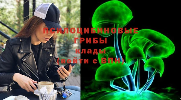 дурь Бронницы
