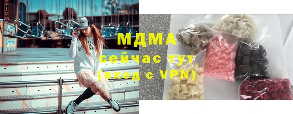 МДПВ Бородино
