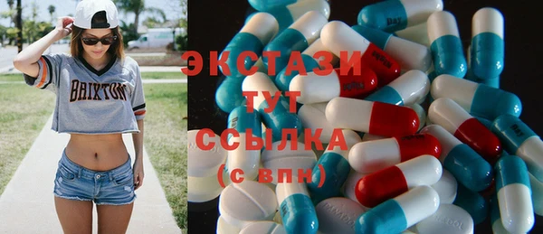 МДПВ Бородино